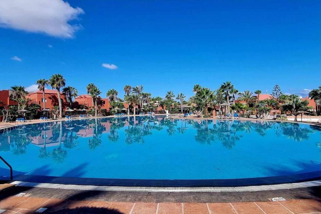 Appartamento Frangipani Con Terrazza E Piscina Коралео Екстериор снимка
